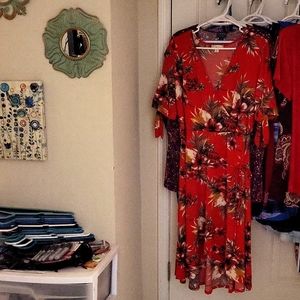 Woman's Plus Size Dress